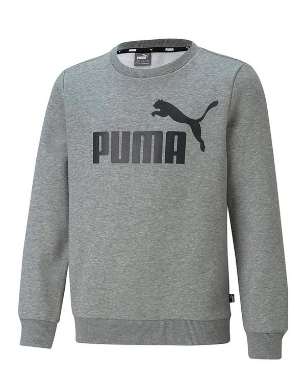 Blusão Puma Essentials Crew Infantil - 14 Anos