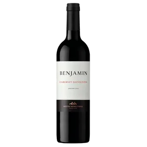 Vinho Tinto Argentino Benjamin Cabernet Sauvignon