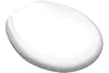 LORENZETTI Assento Sanitário Duratti Branco Oval Universal de Polipropileno, Modelo: 7153011