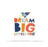 Almofada Dream Big