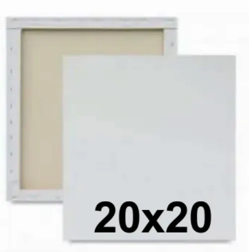 Tela Para Pintura 20x20