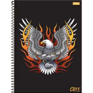 CADERNO 20X1 CAPA DURA CLIFF MASCULINO 320FLS.