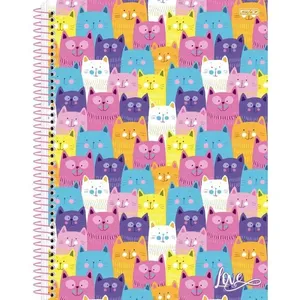 CADERNO 10X1 CAPA DURA LOVE 160F (17891321102081)