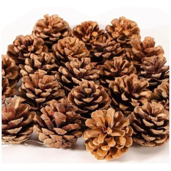 Saco De Pinhas Bela Flor 150g 95949 (MP)