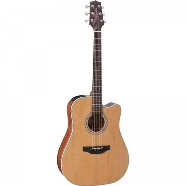 Violão Eletroacústico Takamine Gd20ce Aço Natural Satin [f002]