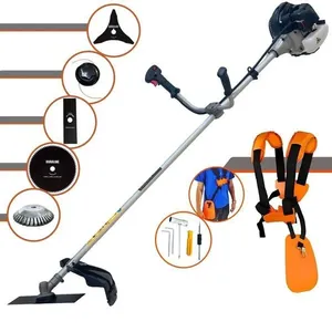 Roçadeira Cg430b 43cc Com Carretel + Faca 2p 3p 80d E Escova