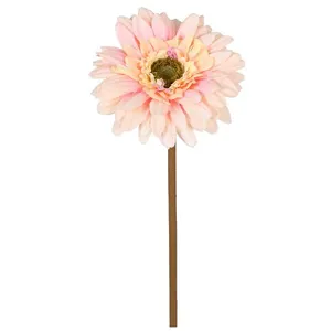 Haste Gérbera Outonada Micropeach Blush 51898119 - Grillo