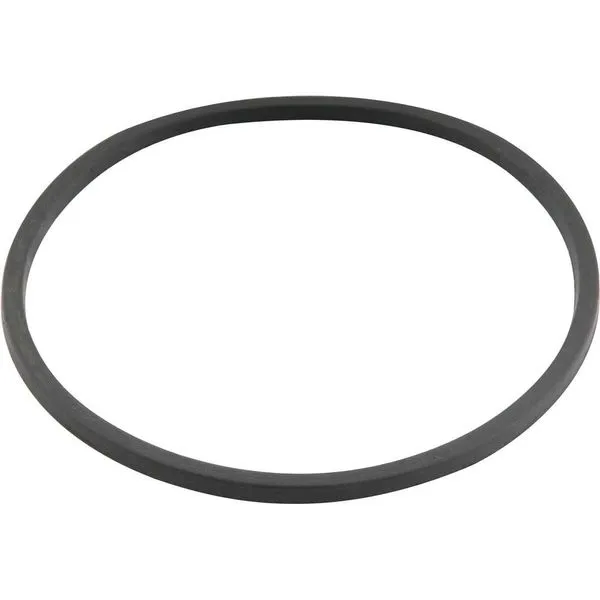 Anel O'Ring para tampa do pulverizador 20 litros DISMA e NOVE54