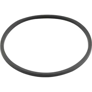Anel O'Ring para tampa do pulverizador 20 litros DISMA e NOVE54