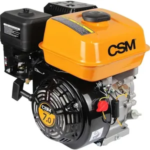 Motor a gasolina 170F 7,0 CV 4 tempos CSM