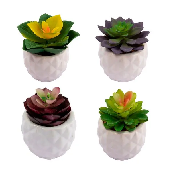 Vaso Suculenta Sortido Harmonia 6x6x9cm LM3826 - honeyhome