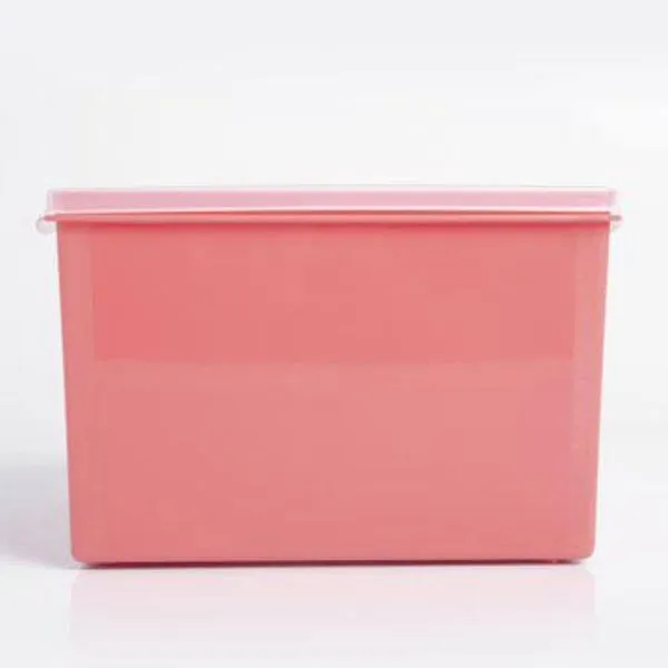 Organizador Multiuso Quadrado Cores Sortidas 2,6 Litros - 636-2 - TOP LINE