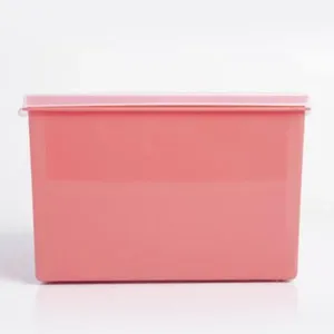 Organizador Multiuso Quadrado Cores Sortidas 2,6 Litros - 636-2 - TOP LINE