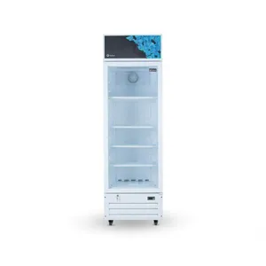 Visa Cooler Gallant 278l 1 Porta Vd Duplo Simples Compressor 220v Mono (GVS27R01A-BR220)