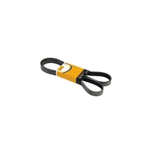 Correia Poly V 10Pk1115 Contitech