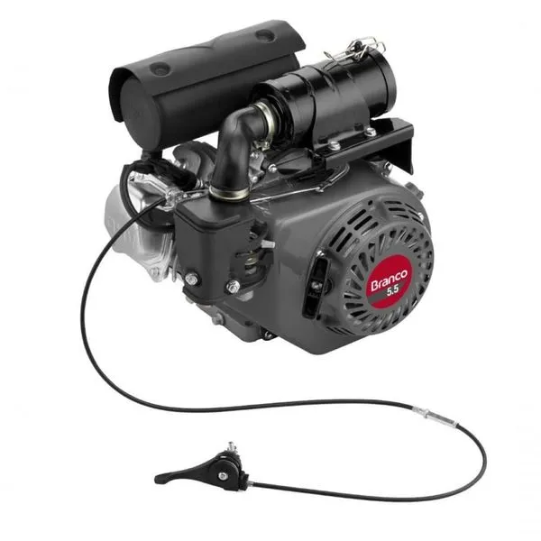 Motor Gas 4t 5,5cv 163cc P.man P/ Compac Solo B4t-5.5 Branco