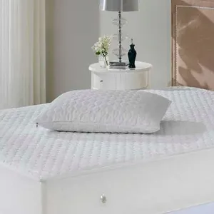 Protetor Travesseiro Impermeavel 50cmx70cm Sul Brasil Branco