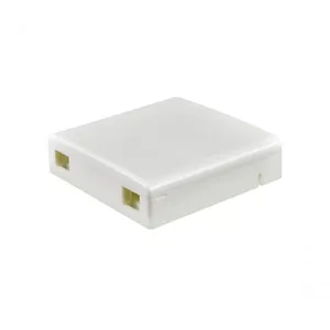 Caixa De Terminacao Optica Evus 2 Fibras Pto