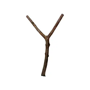 Poleiro Natural para Pássaros Kakatoo 50 cm