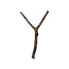 Poleiro Natural para Pássaros Kakatoo 50 cm