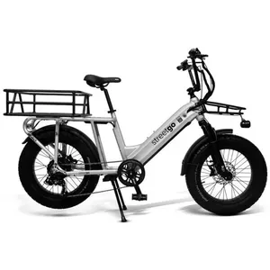 Bicicleta Elétrica Streetgo Aro 20 S40 750Wh Carga 25kg Prata E Preto (MP)