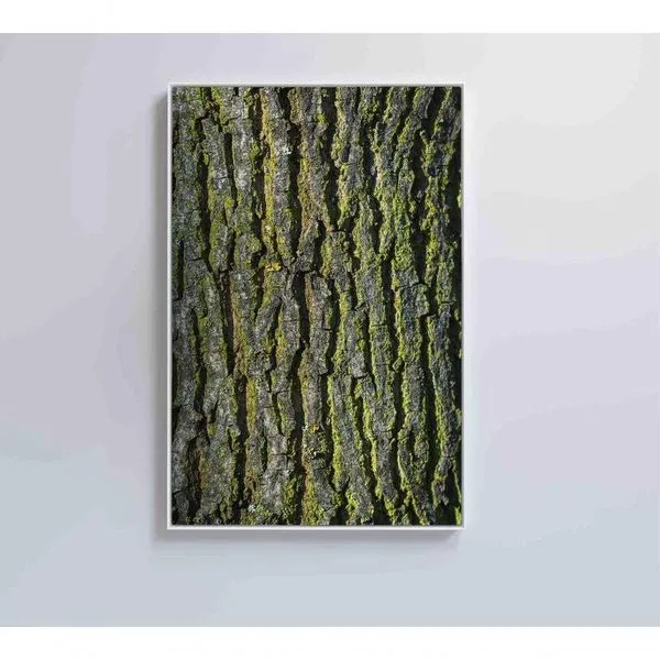 Quadro Tronco árvore 60x90 Cm Vidro Impresso