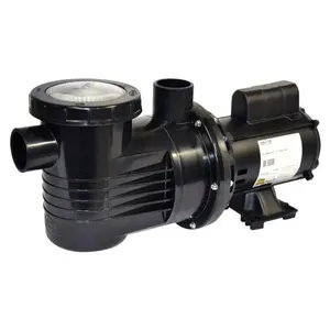 Bomba Para Piscina, Cascata E Hidromassagem 1/3 Cv Monofásica Pf-17 Dancor