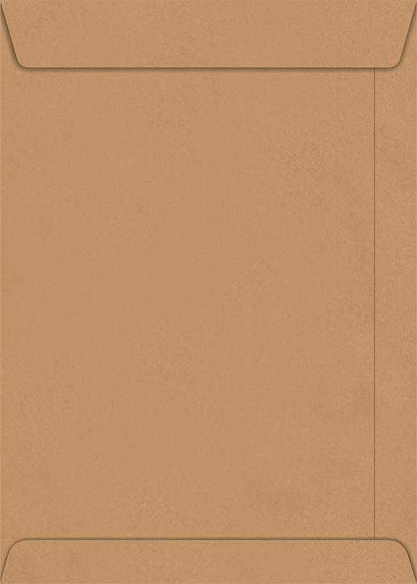 Envelope Saco Kraft Natural Com 10 Envelopes 229x324cm - Foroni