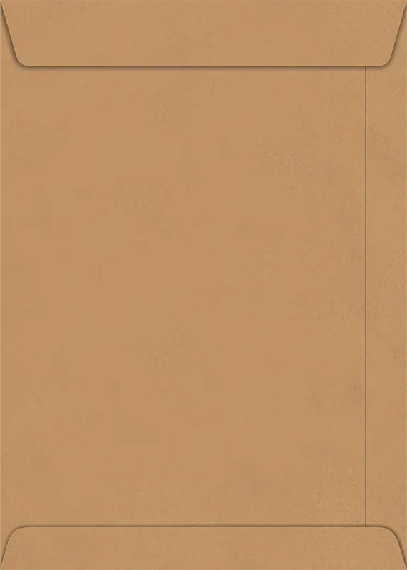 Envelope Saco Kraft Natural Com 10 Envelopes 229x324cm - Foroni