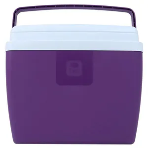 Caixa Térmica Belfix Açaí 28L