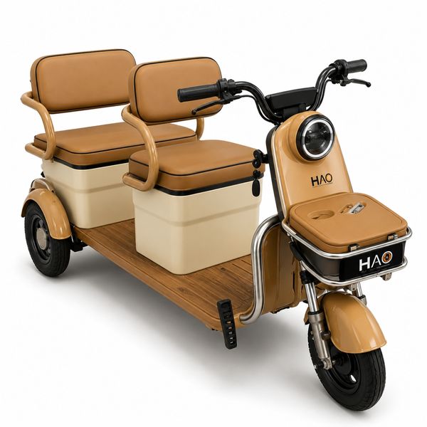 BICICLETA ELÉTRICA TRICICLO EUROPE MARROM