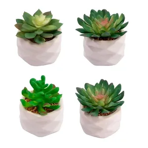 Vaso Suculenta Harmonia Cerâmica e Plástico Pé Sortido 7x7,5cm LM3824 - honeyhome