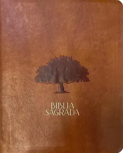Bíblia Mulheres Nvt - Uma Coluna - Figueira Caramelo