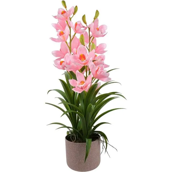Orquídea Concepts 592-510022