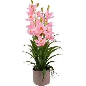 Orquídea Concepts 592-510022