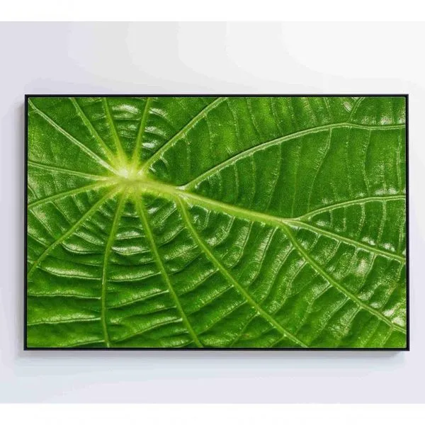 Quadro Folha Floresta Amazônica Medidas 120x80 Cm Impressão Tecido Canvas
