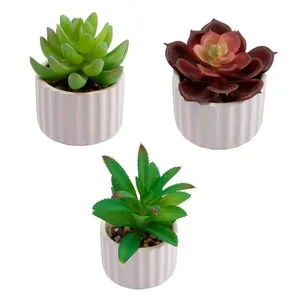 Vaso Suculenta Harmonia Cerâmica e Plástico PE Sortido 7x7x8cm LM3825 - honeyhome