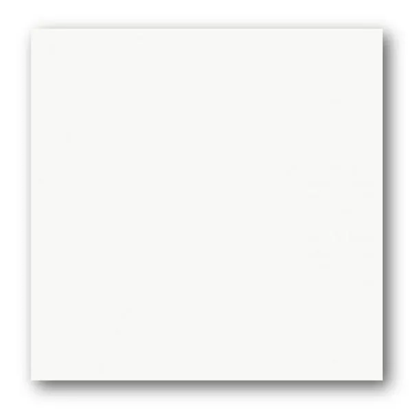 Porcelanato Polido Retificado Tecnogres 58x58cm Branco Cristal Caixa 2,03M² (MP)