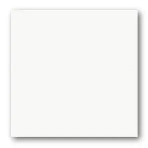 Porcelanato Polido Retificado Tecnogres 58x58cm Branco Cristal Caixa 2,03M² (MP)