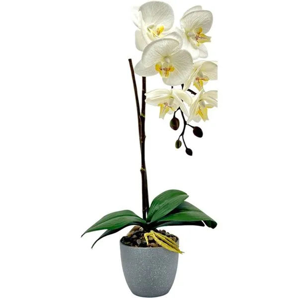 Orquídea com Vaso Concepts 456-55400