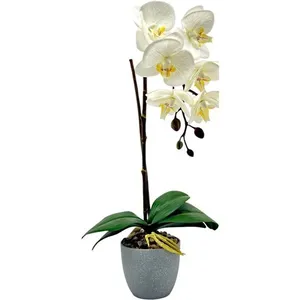 Orquídea com Vaso Concepts 456-55400