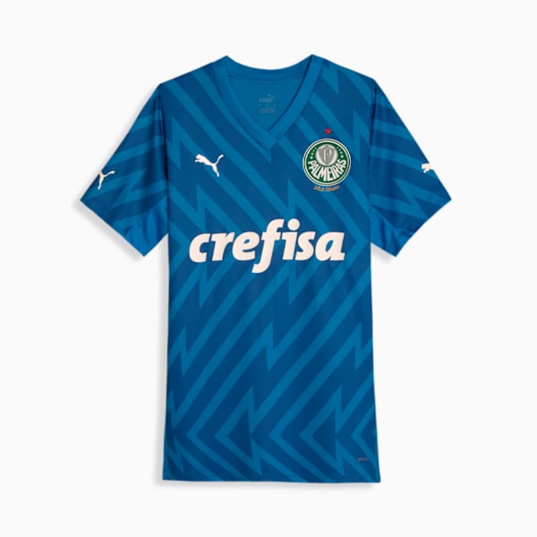 Camisa Palmeiras 1 HOME Goleiro Torcedor Feminina 2024