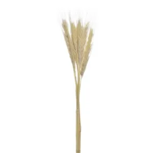 Haste de Trigo Seco Grillo X10 Natural