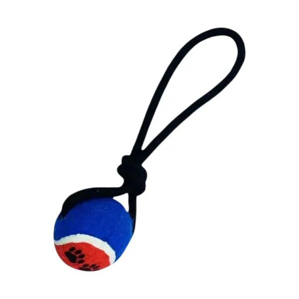 Brinquedo Para Pet Savana Corda Com Bola 6,5x6,5x6,5cm Azul (MP)