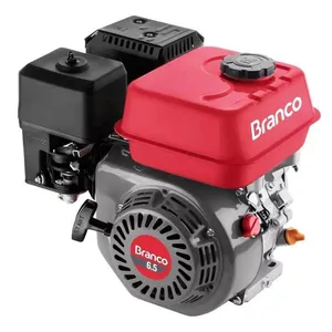 Motor Estacionário Branco A Gasolina Partida Manual 6,5 CV B4T-6.5H (MP)