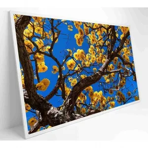 Quadro Ipê Amarelo Em árvore Do Cerrado Medidas 40x60 Cm Tipo De Impressão Vidro Acrílico