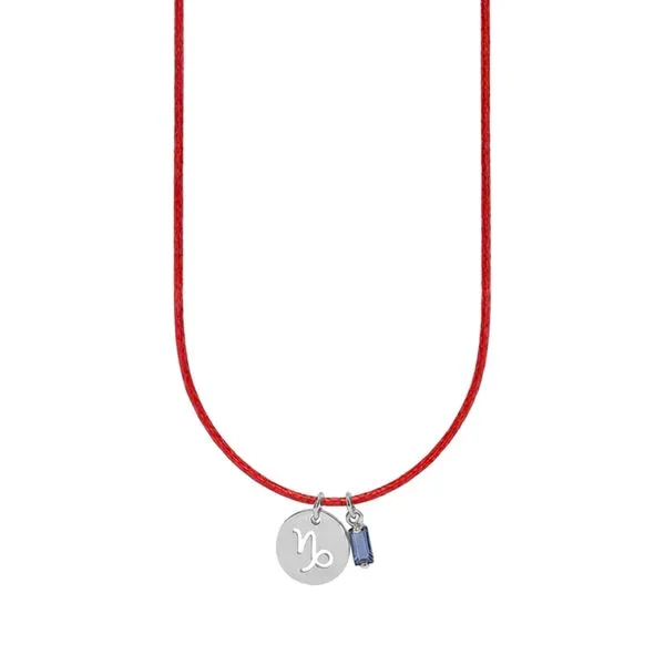 Colar de Signo Capricórnio Vermelho com Zircônia e Aço Vermelho Ajustável