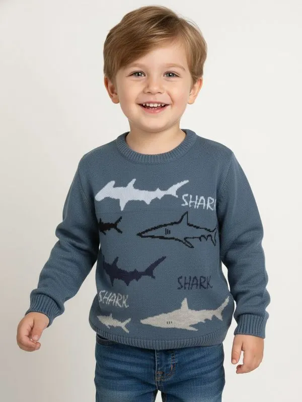 Blusão Tricot Estampado Infantil Para Menino- AZUL 3