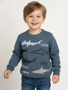 Blusão Tricot Estampado Infantil Para Menino- AZUL 3
