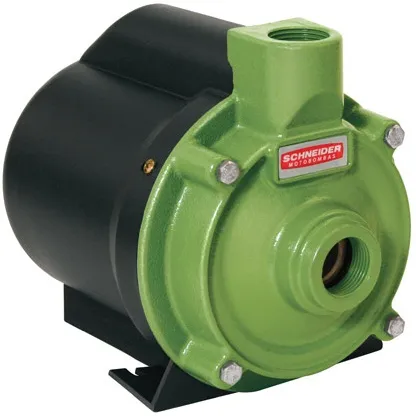 Bomba periférica/motobomba 1,0 cv 220 V~ BCR-2010 - SCHNEIDER